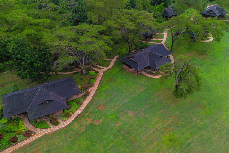 Ol Tukai Amboseli