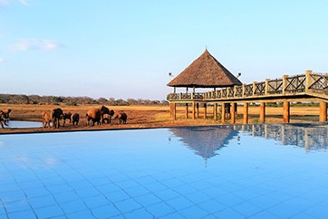 Voi Wildlife Lodge