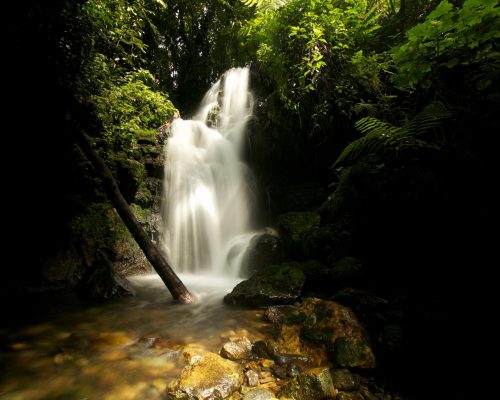 3 Days Gorilla Trekking Experience (2)