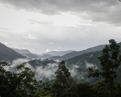 4 Days Gorillas & Lake Bunyonyi Experience (1)