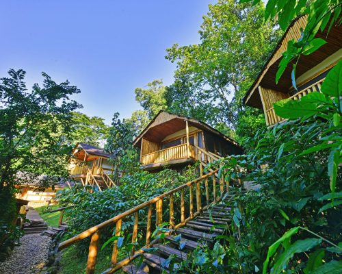 7 Days Uganda Primates & Wildlife Experience (2)