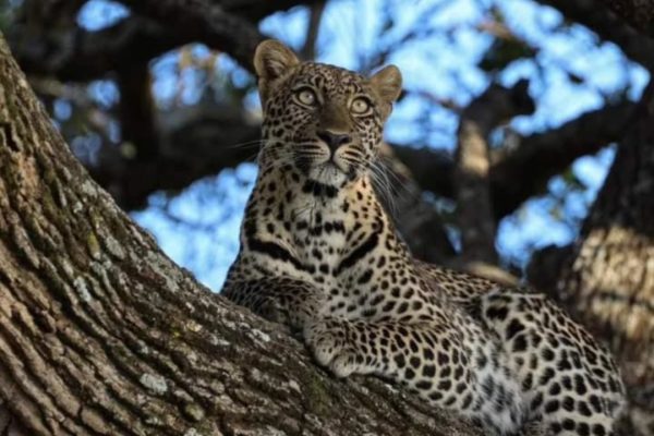 Screenshot_20251109-182223_WhatsApp