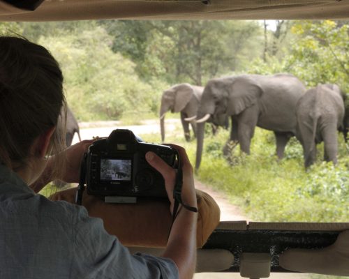 andBeyond Lake Manyara Tree Lodge