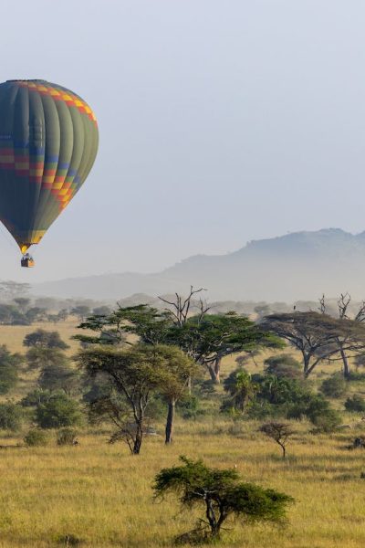 baloon-safari