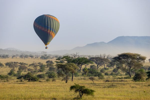 baloon-safari