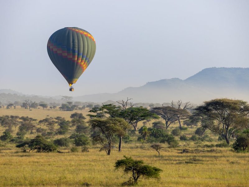 baloon-safari