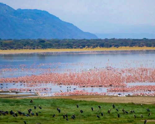 lake-manyara-1