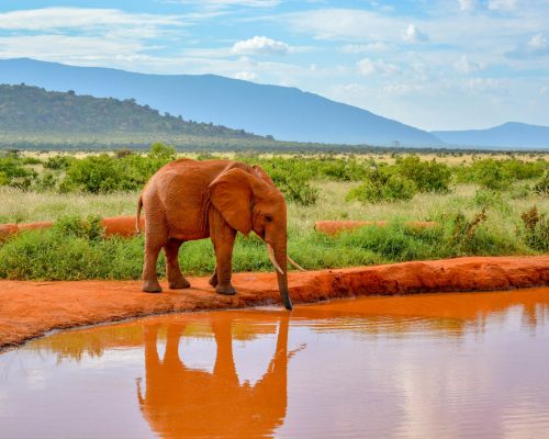 magical-tsavo-east-elephant-water-hole