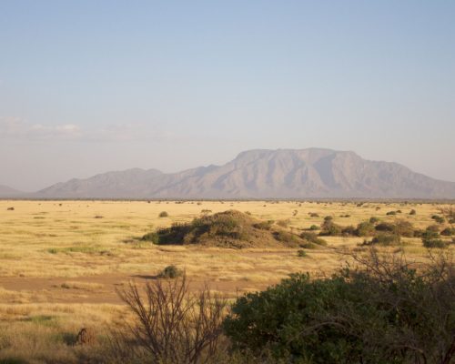 main-pic-shompole-wilderness