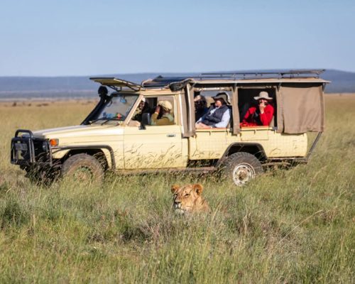 masai-mara-safari