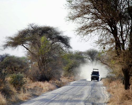 ray-rui-O0ychA0J_Wo-unsplash