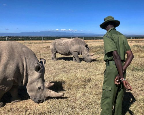 rhino-sanctuary-ol-pejeta