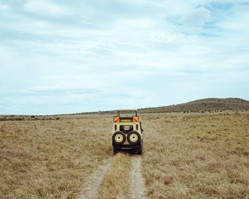 safari-game-drive-wilderness