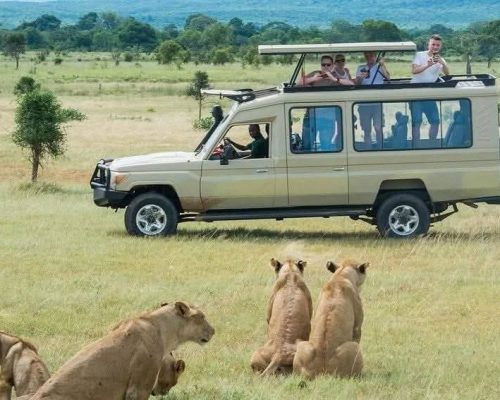 safari-guide-cruiser-kenya-tour