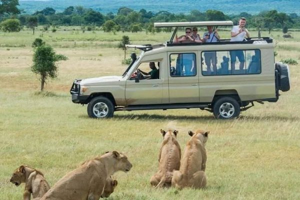 safari-guide-cruiser-kenya-tour