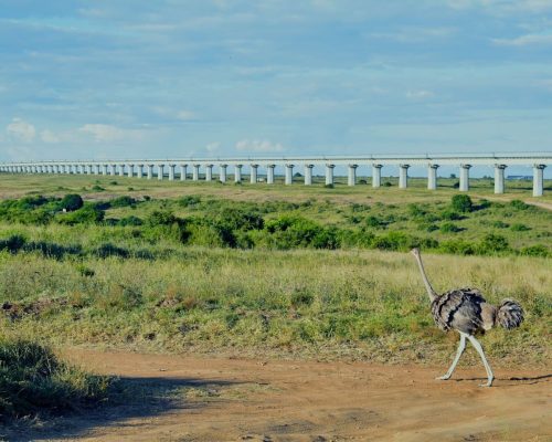 sgr-nairobi-national-park