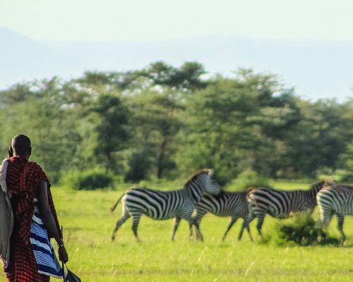 walking-tour-kenya-safari